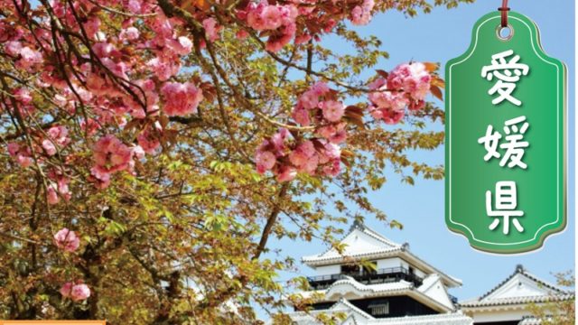 愛媛県の登録支援機関
