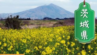 茨城県の登録支援機関