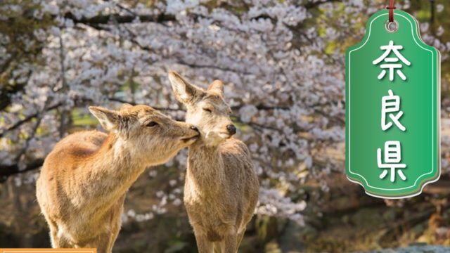 奈良県の登録支援機関