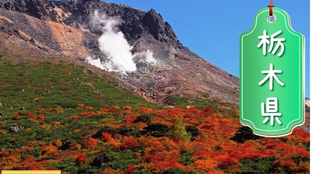 栃木県の登録支援機関