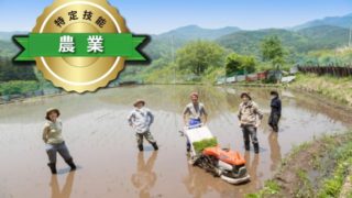 特定技能の農業